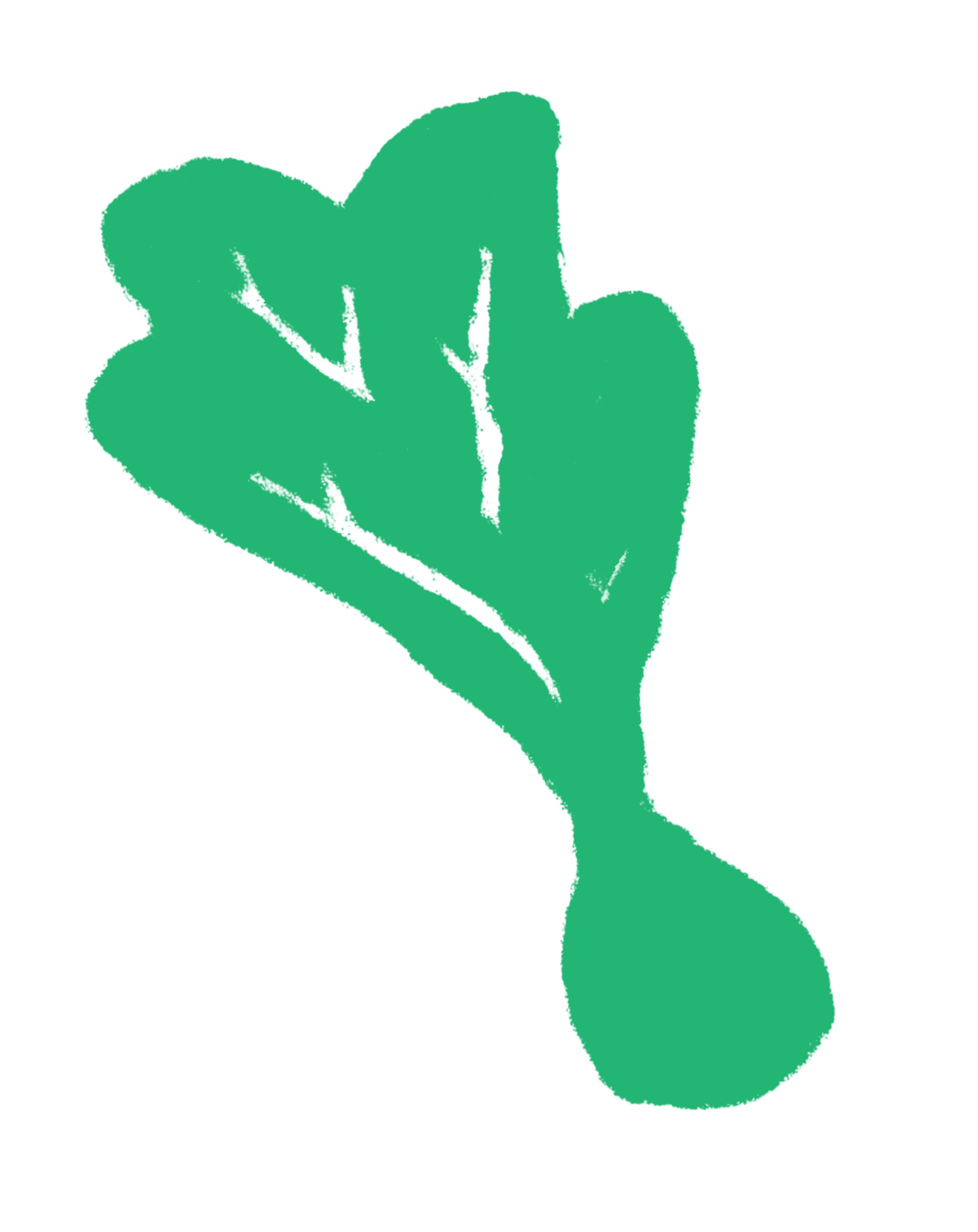 Warzywo